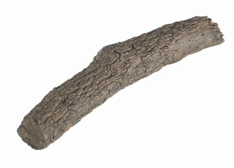 Real Fyre Oak Tree Branch (BR-17), 17-Inch